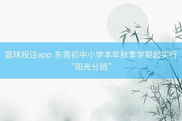 篮球投注app 东莞初中小学本年秋季学期起实行“阳光分班”