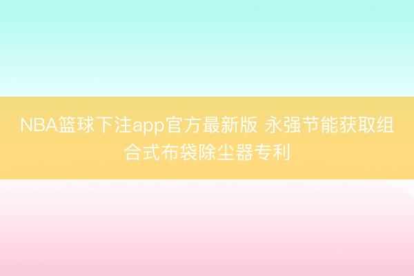 NBA篮球下注app官方最新版 永强节能获取组合式布袋除尘器专利